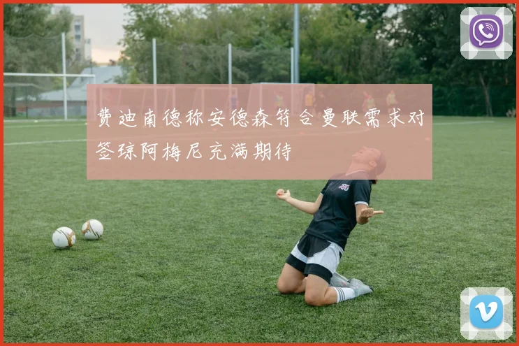 费迪南德称安德森符合曼联需求对签琼阿梅尼充满期待